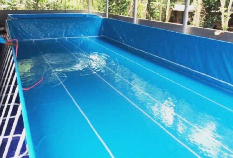 cách làm bể bơi tại nhà bằng bạt
